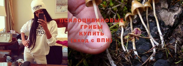МДПВ Нефтегорск