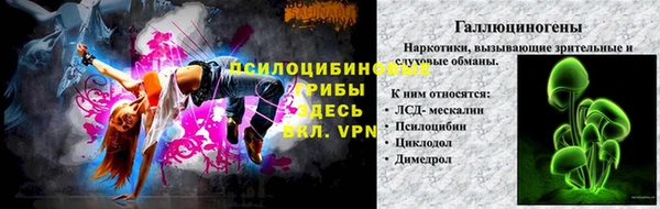 твердый Алзамай
