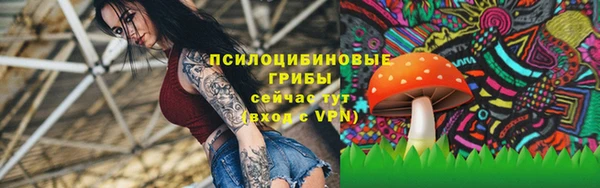 наркотики Алексин