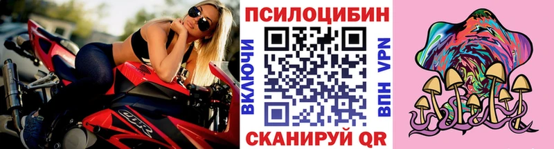 Псилоцибиновые грибы GOLDEN TEACHER  Бахчисарай 